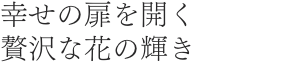 幸せの扉を開く贅沢な花の輝き