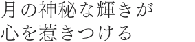 月の神秘な輝きが心を惹きつける